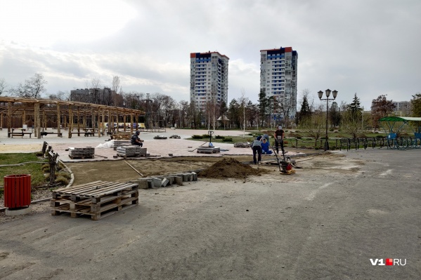 В парке наконец появляется зелень В парке наконец появляется зелень