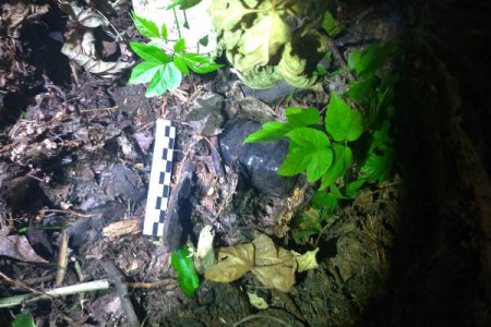 В Екатеринбурге поймали закладчика В Екатеринбурге поймали закладчика