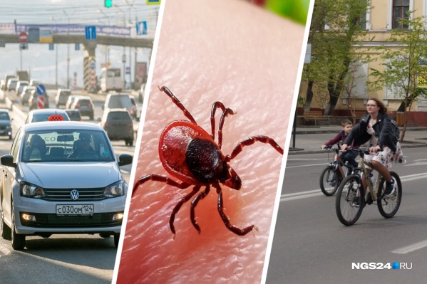 Все дни майских каникул мы следили за событиями в Красноярске и стране Все дни майских каникул мы следили за событиями в Красноярске и стране
