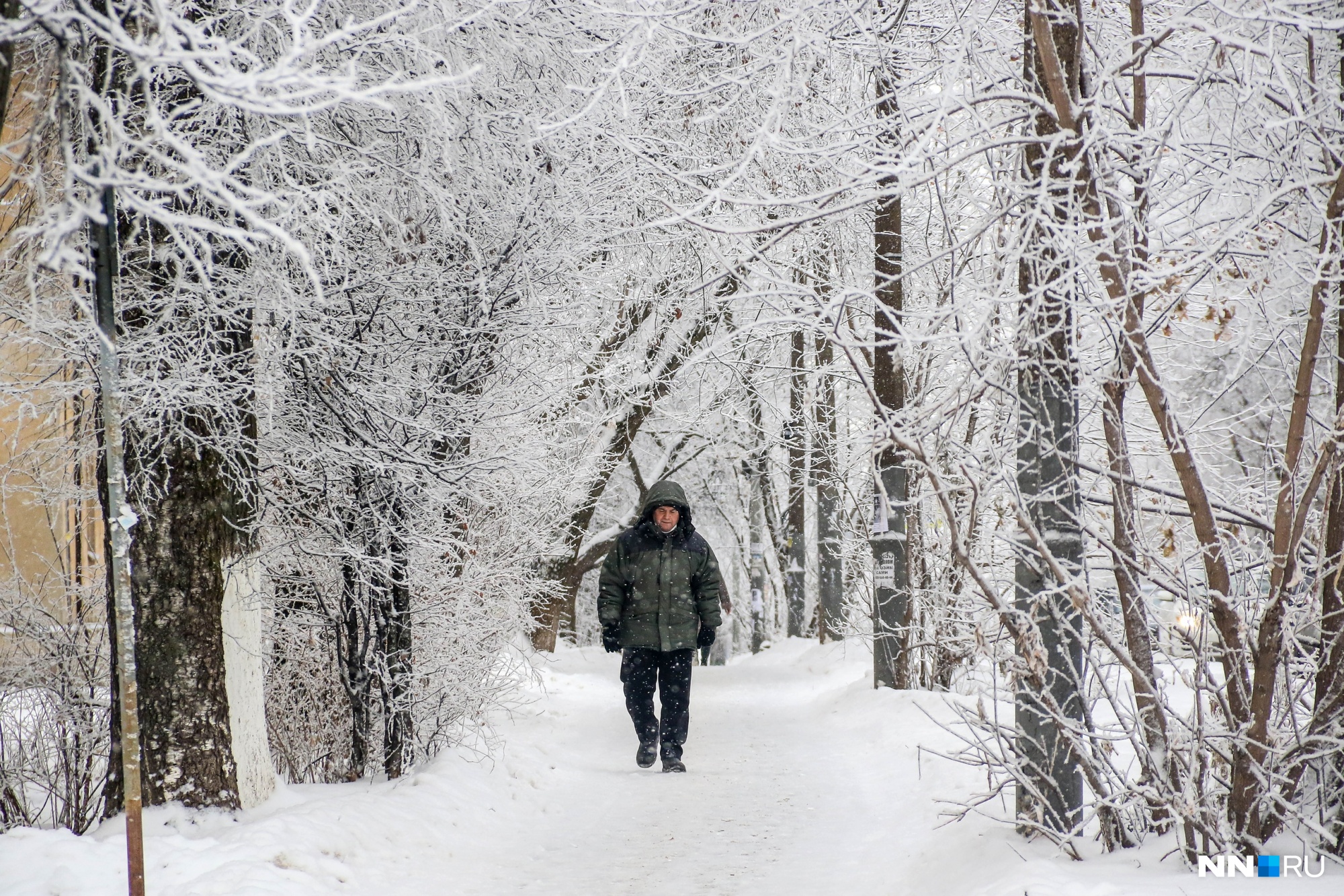Прогноз погоды на выходные: в Нижегородскую область приходит сильное потепление