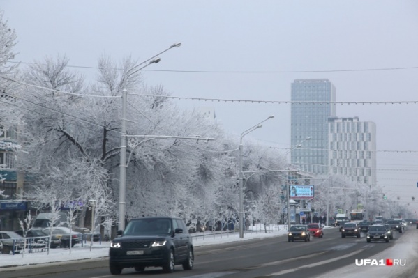 Погода ожидается теплой Погода ожидается теплой