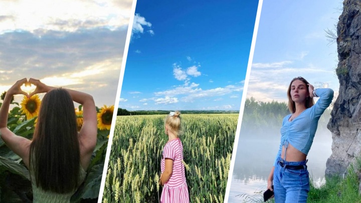 Сочные подсолнухи, стога сена и луга иван-чая: где устроить красивые фотосессии под Красноярском