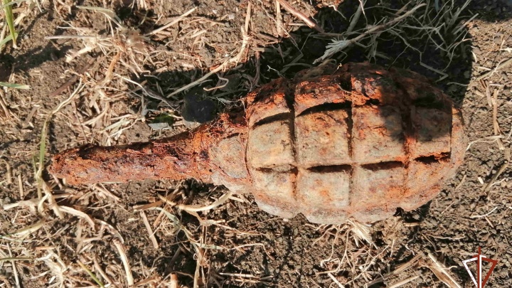 Жительница райцентра Курганской области нашла на улице гранату без чеки