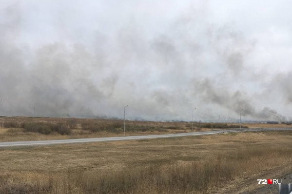 Горят не только леса, но и поля, в том числе в городской черте Горят не только леса, но и поля, в том числе в городской черте