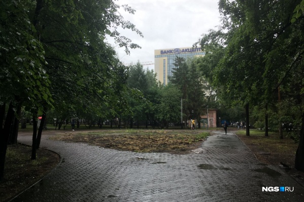 Заказчиком работ выступает «Горзеленхоз», средства будут направлены из бюджета города <nobr class="_">на 2021 год</nobr> Заказчиком работ выступает «Горзеленхоз», средства будут направлены из бюджета города <nobr class="_">на 2021 год</nobr>