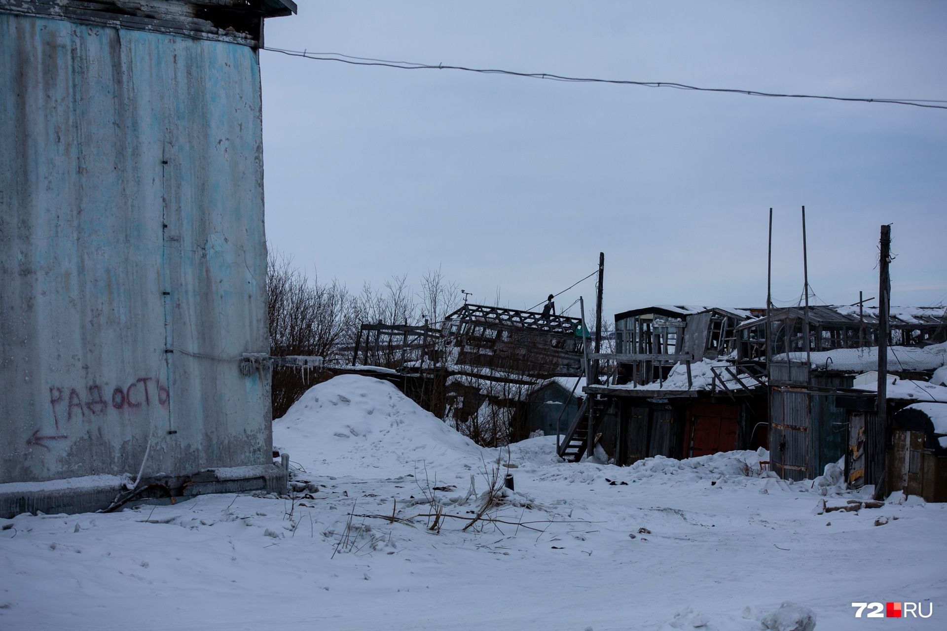Присмотритесь к фото. Мы очень напугались, когда кое-что увидели Присмотритесь к фото. Мы очень напугались, когда кое-что увидели