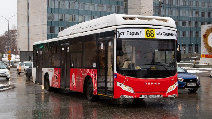 В Перми скорректируют работу 8 автобусных маршрутов