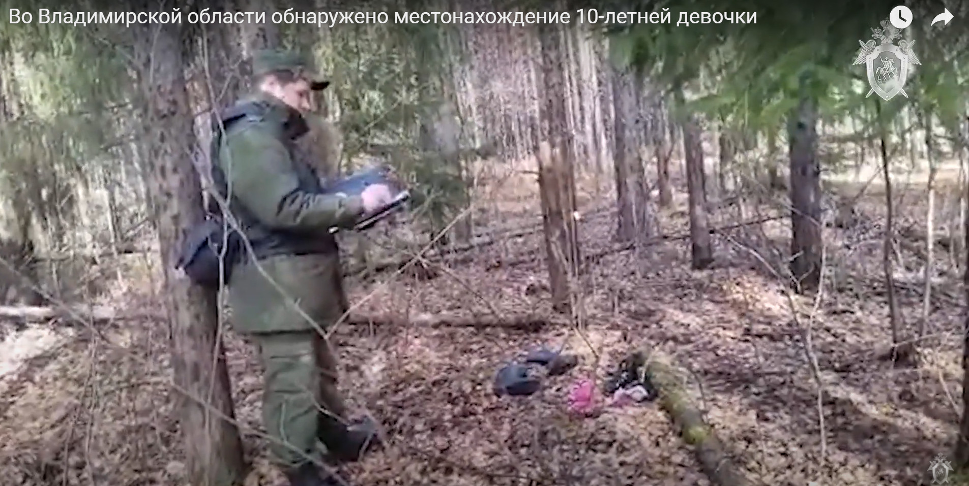 Кадр из видео СК РФ в YouTube
