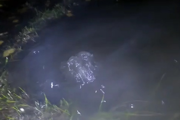 Вода бьет из-под земли Вода бьет из-под земли