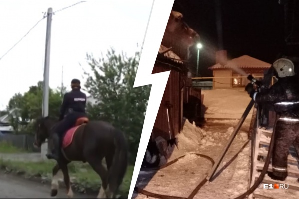 Пожар в конюшне произошел в ночь со среды на четверг Пожар в конюшне произошел в ночь со среды на четверг