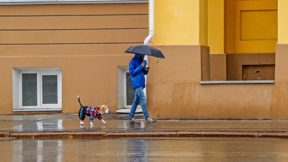 Дожди и прохлада придут в Нижний Новгород: прогноз погоды на эту неделю