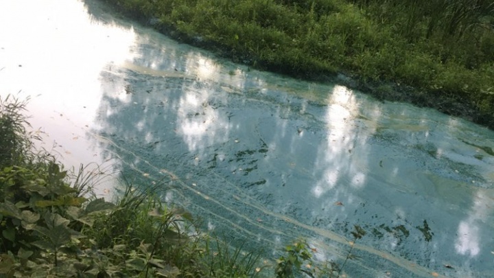«Там помыли танки»: ярославцы нашли загрязнение реки Норы в месте впадения в Волгу