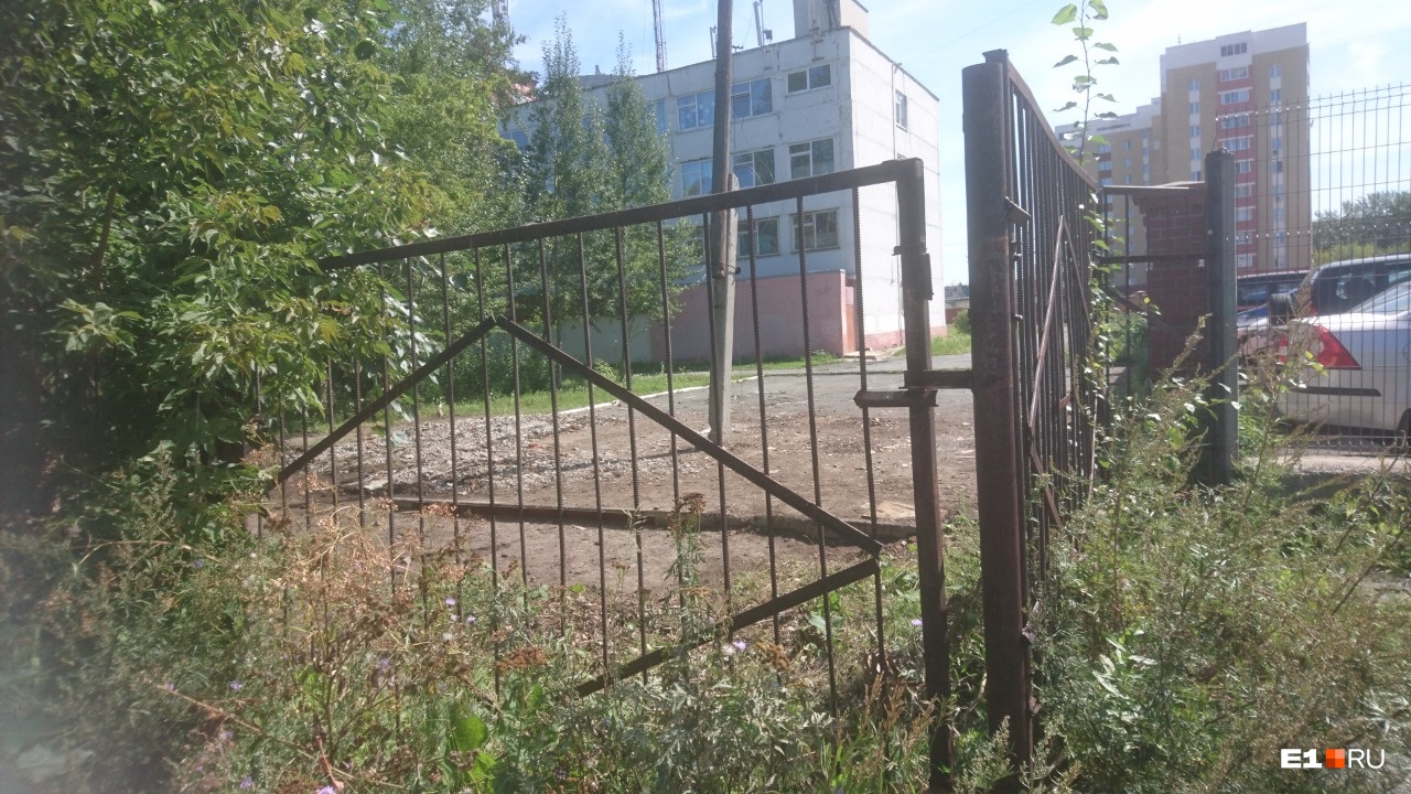 Двор зарос крапивой, а сотрудники бегут: в екатеринбургском техникуме нашли серьезные нарушения