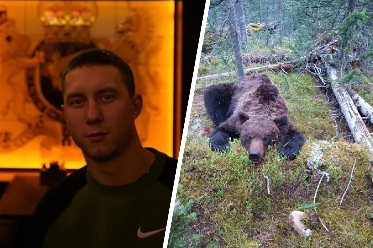 «Рвет спину, дикий страх и адреналин»: выживший после нападения медведя турист рассказал о схватке
