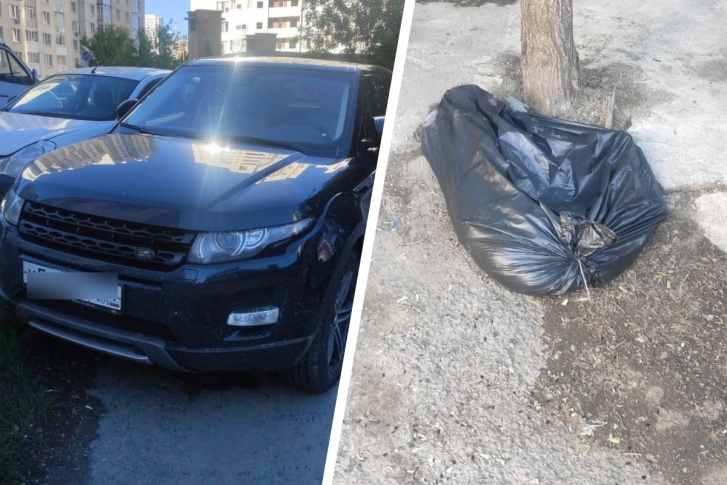 Собака не меньше четырех часов была заперта в автомобиле Собака не меньше четырех часов была заперта в автомобиле