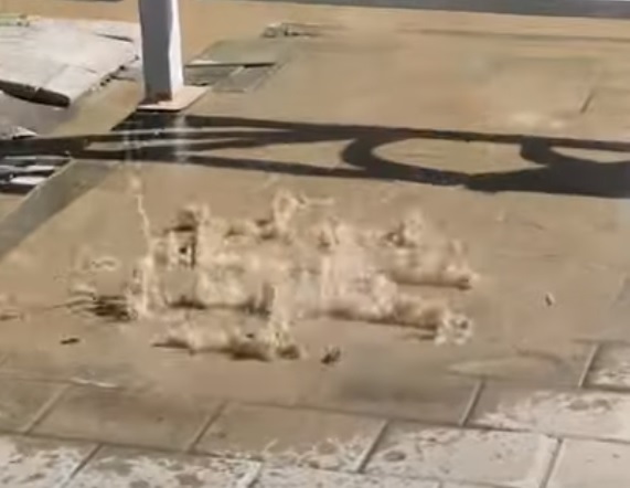 Было горячо: у Автовокзала забил танцующий коммунальный фонтан. Видео