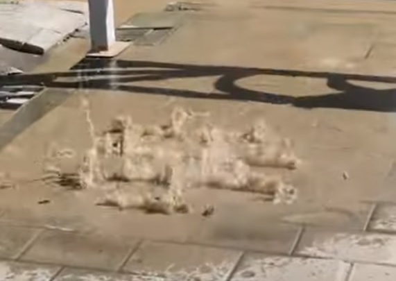 Было горячо: у Автовокзала забил танцующий коммунальный фонтан. Видео
