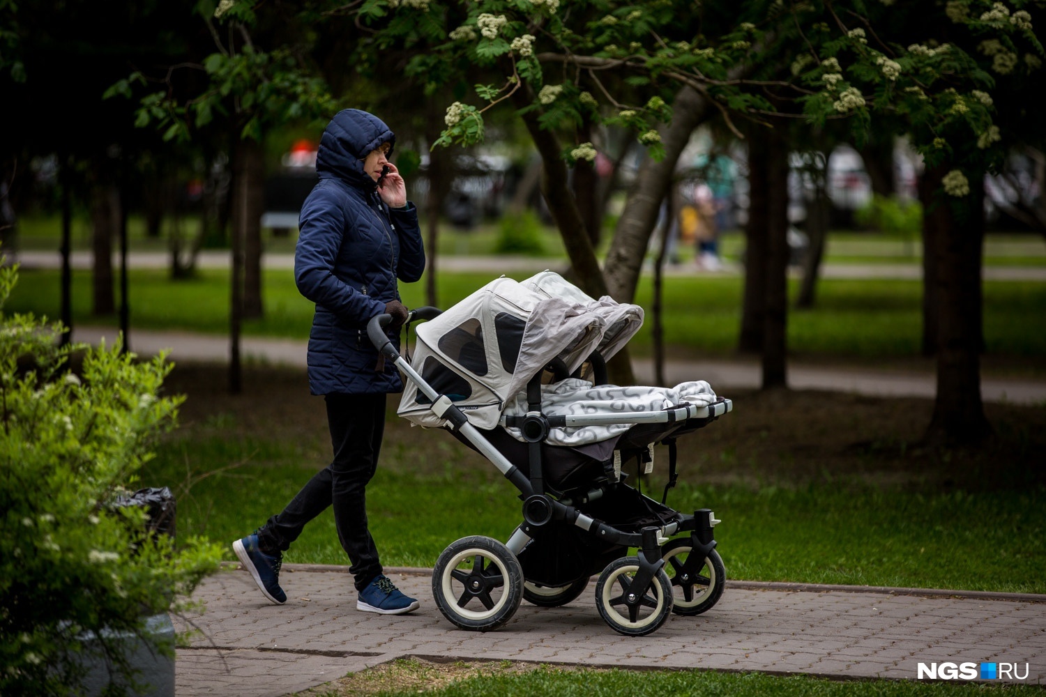 Стареющий город: средний возраст населения Новосибирска приближается к 40 годам