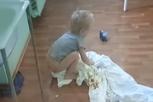 Поводом для проверки стали шокирующие кадры очевидцев Поводом для проверки стали шокирующие кадры очевидцев