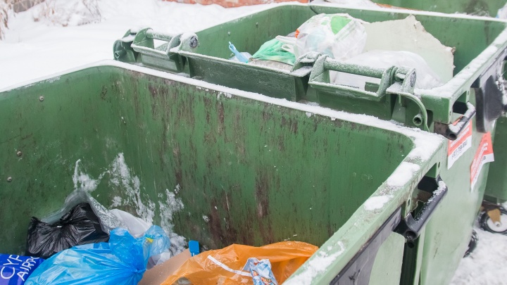 В Тольятти с 1 марта сменится оператор по вывозу мусора в двух районах