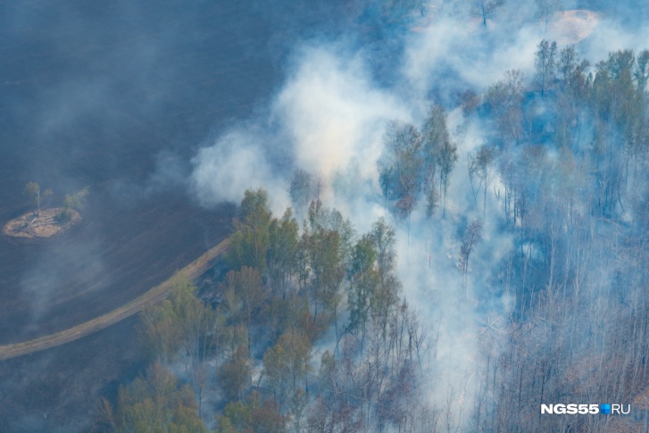 В этом году на территории Омской области потушили уже 443 лесных пожара