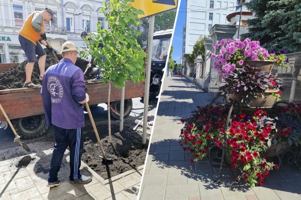 Облик улицы Куйбышева изменится в лучшую сторону — растений станет больше Облик улицы Куйбышева изменится в лучшую сторону — растений станет больше