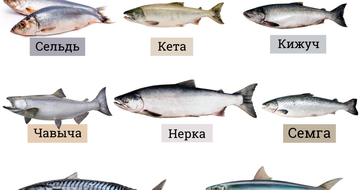  Ответ на вопрос по теме Рыба и рыбные продукты