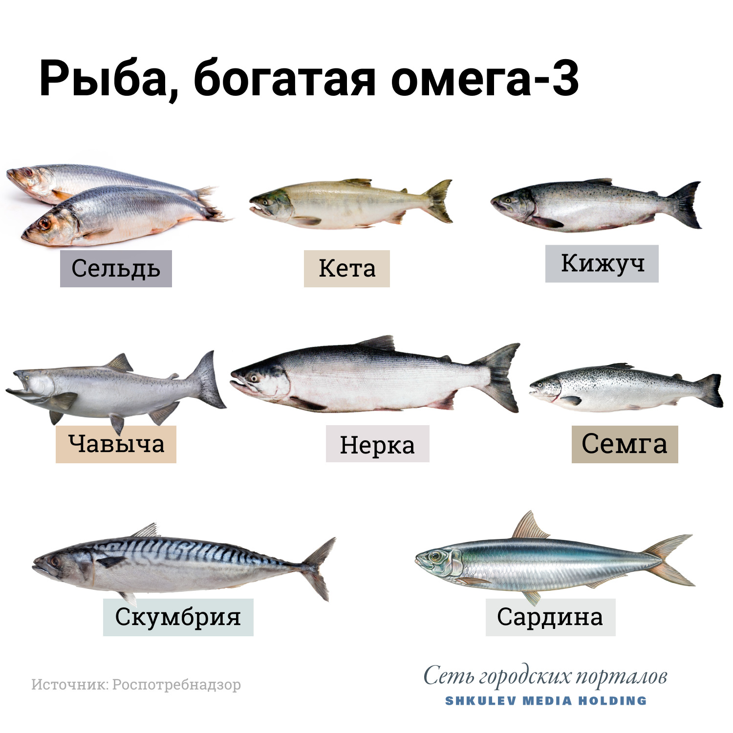 А эту рыбу стоит включить в свой рацион А эту рыбу стоит включить в свой рацион