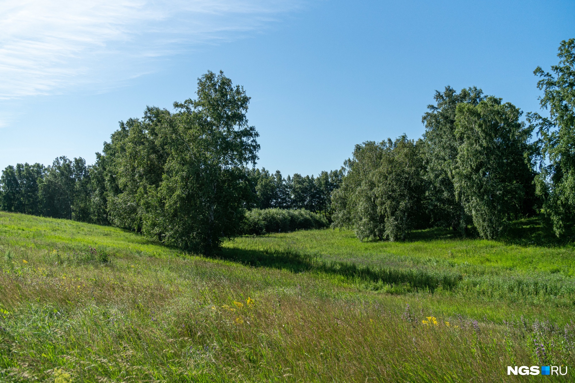 реке тула в новосибирске