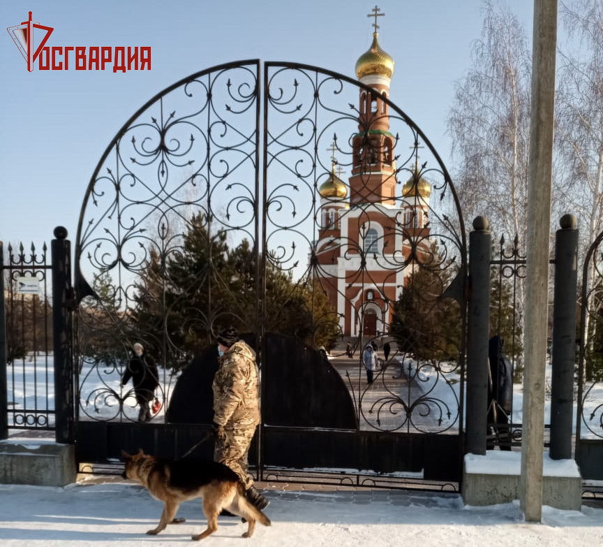 Служебная собака гарантирует — все объекты в порядке Служебная собака гарантирует — все объекты в порядке