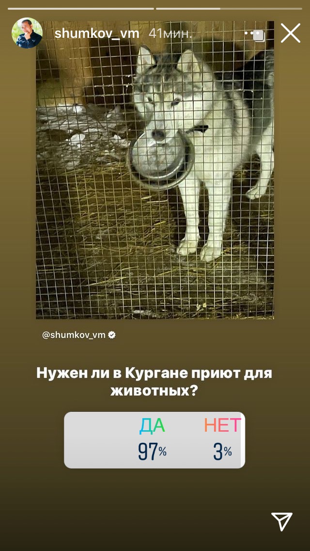 Большинство зауральцев поддерживают идею создания в Кургане приюта для животных Большинство зауральцев поддерживают идею создания в Кургане приюта для животных