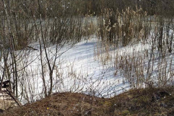 Непонятная белая жидкость попала в воду Непонятная белая жидкость попала в воду