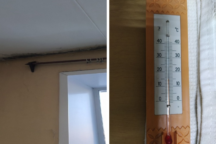 Архангелогородка, у которой двустороннее воспаление легких, сомневается, что в таких условиях она сможет вылечиться Архангелогородка, у которой двустороннее воспаление легких, сомневается, что в таких условиях она сможет вылечиться