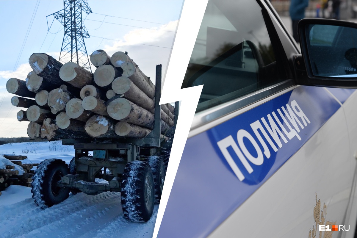 Наломал дров на тюремный срок: уральский «черный лесоруб» спилил деревьев на миллион рублей