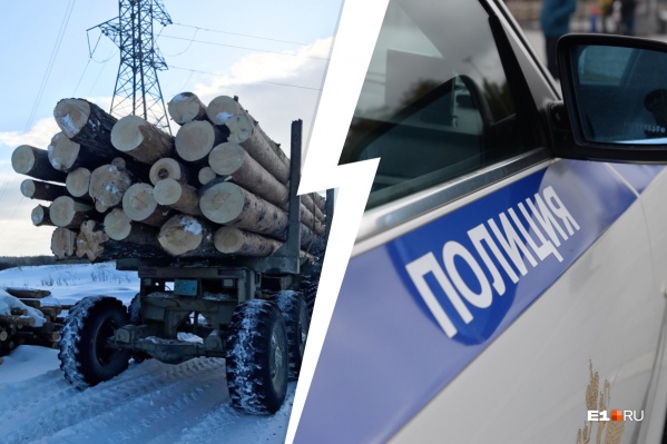 Преступник спилил 29 деревьев, которые оценили на <nobr class="_">1,1 млн</nobr> рублей Преступник спилил 29 деревьев, которые оценили на <nobr class="_">1,1 млн</nobr> рублей