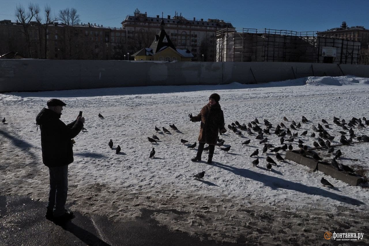 В Петербурге — последний мороз. Температура…