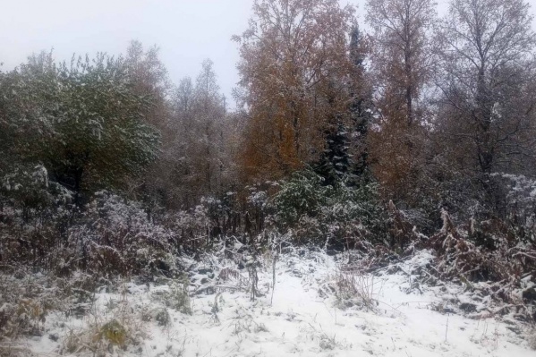 За городом уже выпал снег, водителям пора переобувать колеса За городом уже выпал снег, водителям пора переобувать колеса