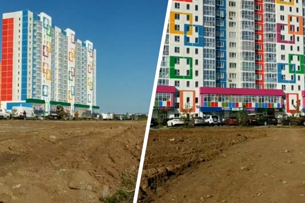 ромашковое поле в тюмени 2021. Смотреть фото ромашковое поле в тюмени 2021. Смотреть картинку ромашковое поле в тюмени 2021. Картинка про ромашковое поле в тюмени 2021. Фото ромашковое поле в тюмени 2021