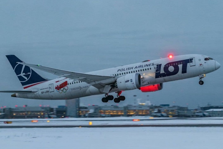 Самолет приземлился в Екатеринбурге 30 января