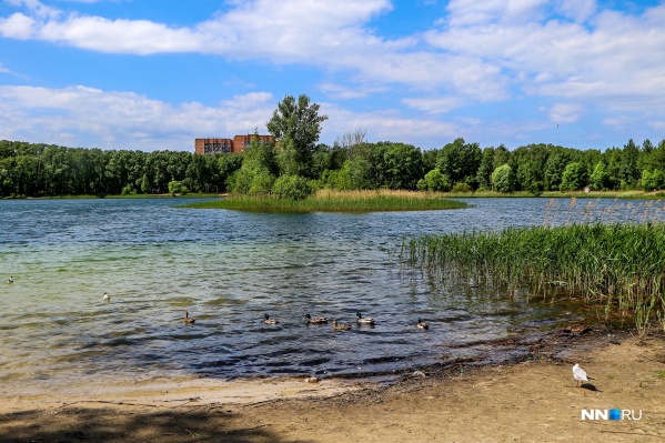 Во время купания в открытых водоемах нужно быть очень осторожным Во время купания в открытых водоемах нужно быть очень осторожным