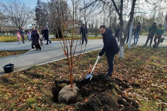 Самое масштабное озеленение выполнено в Городском парке культуры и отдыха в Бердске Самое масштабное озеленение выполнено в Городском парке культуры и отдыха в Бердске