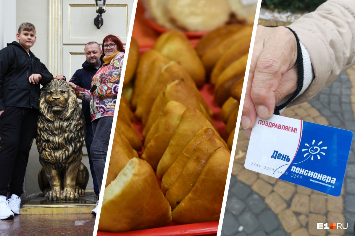 Поесть пирожков, подкараулить свадьбу и увидеть «золотую» школу: чем заняться на выборах в Свердловской области