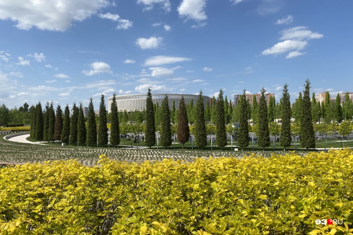 Летом в парке «Краснодар» начинают цвести растения