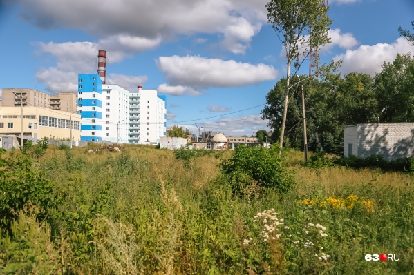 Территорию возле общежитий не помешало бы облагородить Территорию возле общежитий не помешало бы облагородить