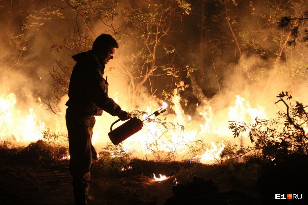 Из-за лесных пожаров в Свердловской области завели три уголовных дела. На очереди еще двадцать