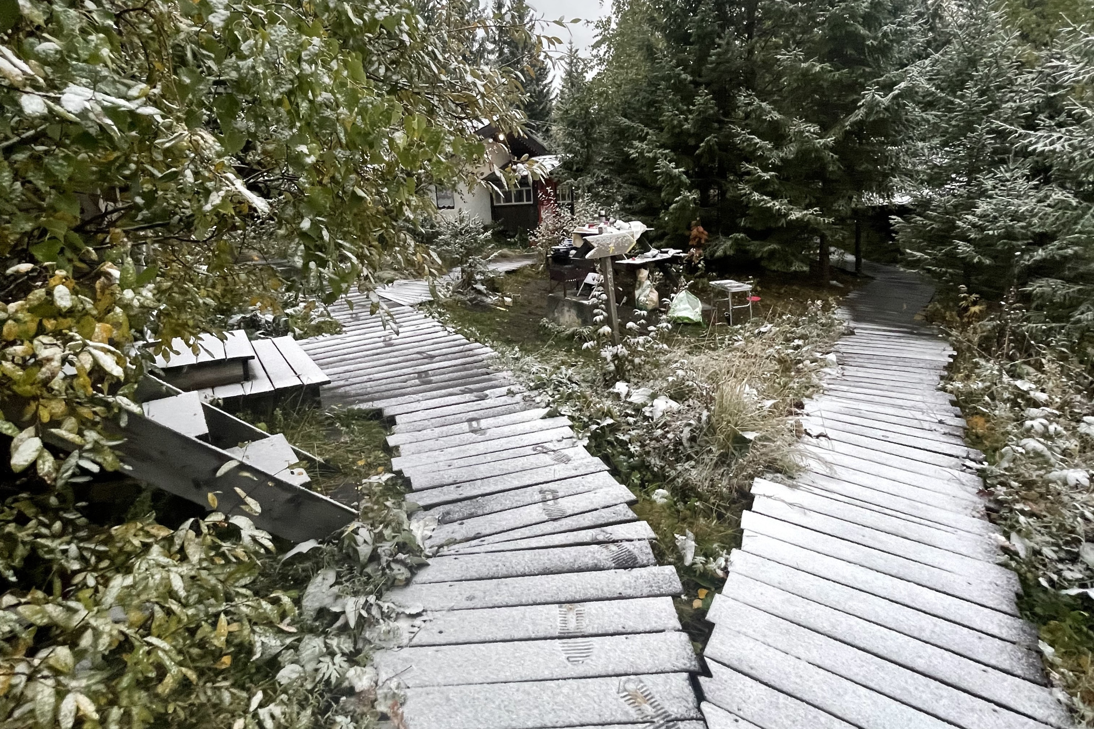 Зима близко: в Свердловской области выпал снег