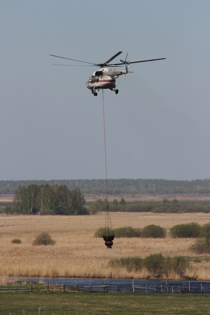 Набирают ее в местных водоемах Набирают ее в местных водоемах 