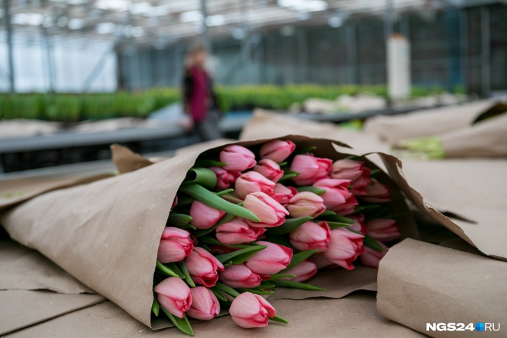 В УЗС тюльпаны в розницу продают по <nobr class="_">70 рублей</nobr> за штуку