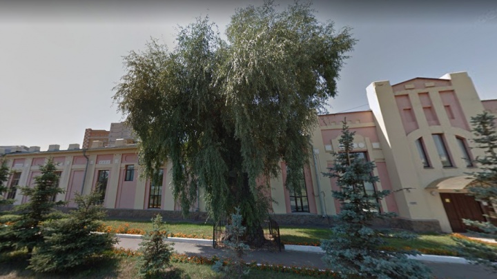 В Омске планируют срубить самую старую иву. Ранее ее признали памятником