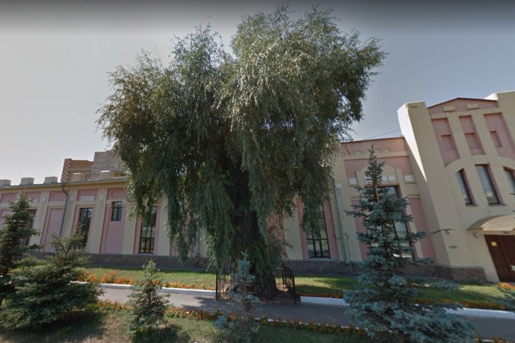 Иву взяли взяли под охрану в 1980 году Иву взяли взяли под охрану в 1980 году